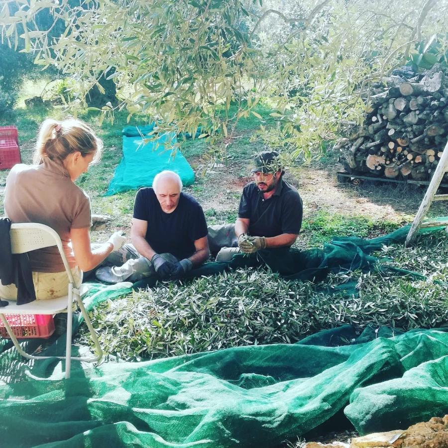 B&B Giovannarolla Green House Ostuni Ngoại thất bức ảnh
