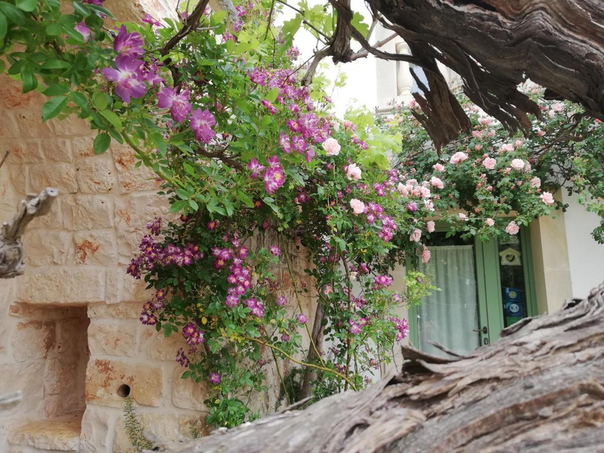 B&B Giovannarolla Green House Ostuni Ngoại thất bức ảnh