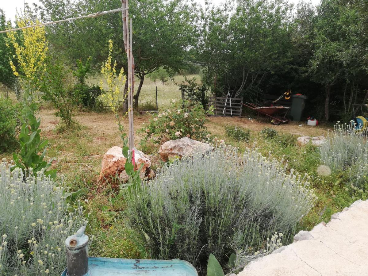 B&B Giovannarolla Green House Ostuni Ngoại thất bức ảnh