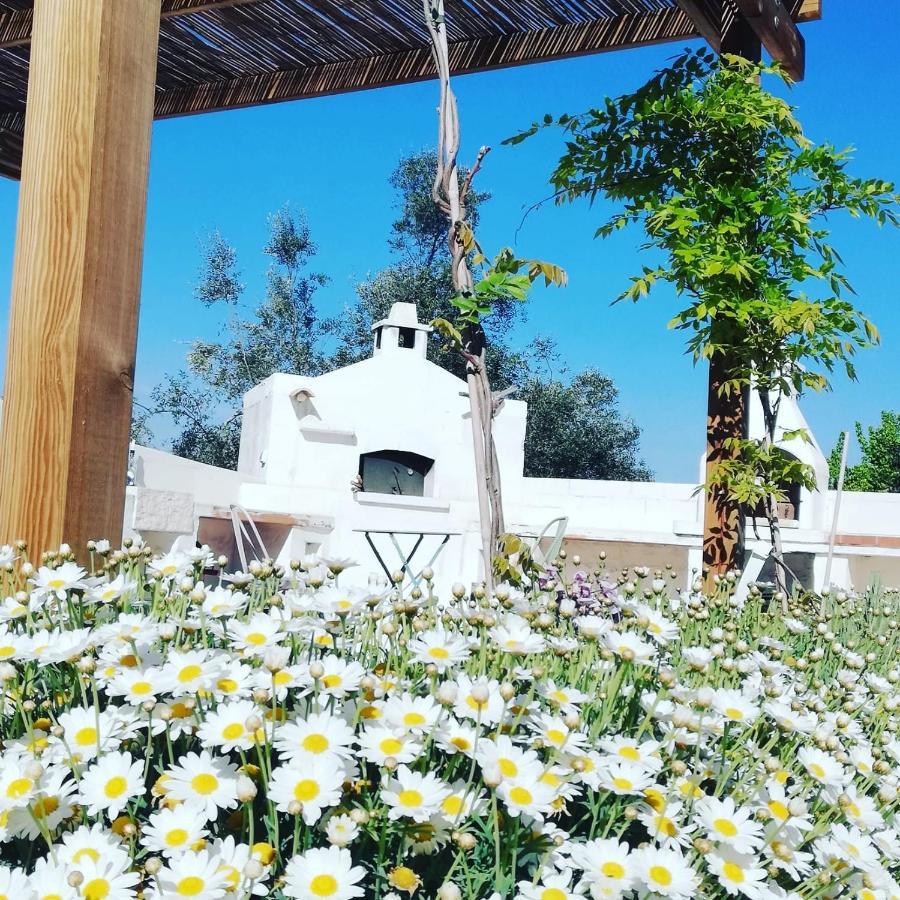 B&B Giovannarolla Green House Ostuni Ngoại thất bức ảnh