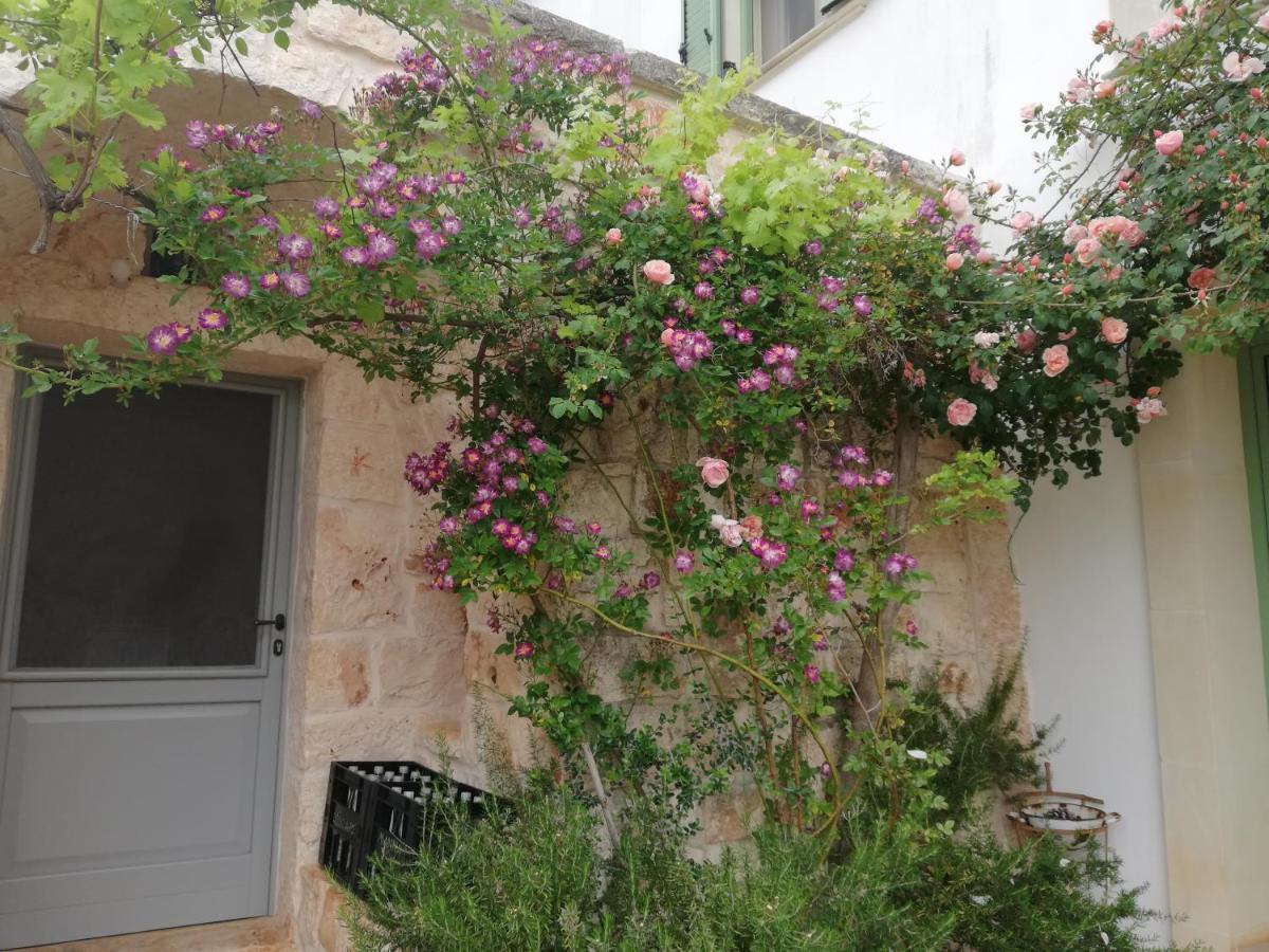 B&B Giovannarolla Green House Ostuni Ngoại thất bức ảnh