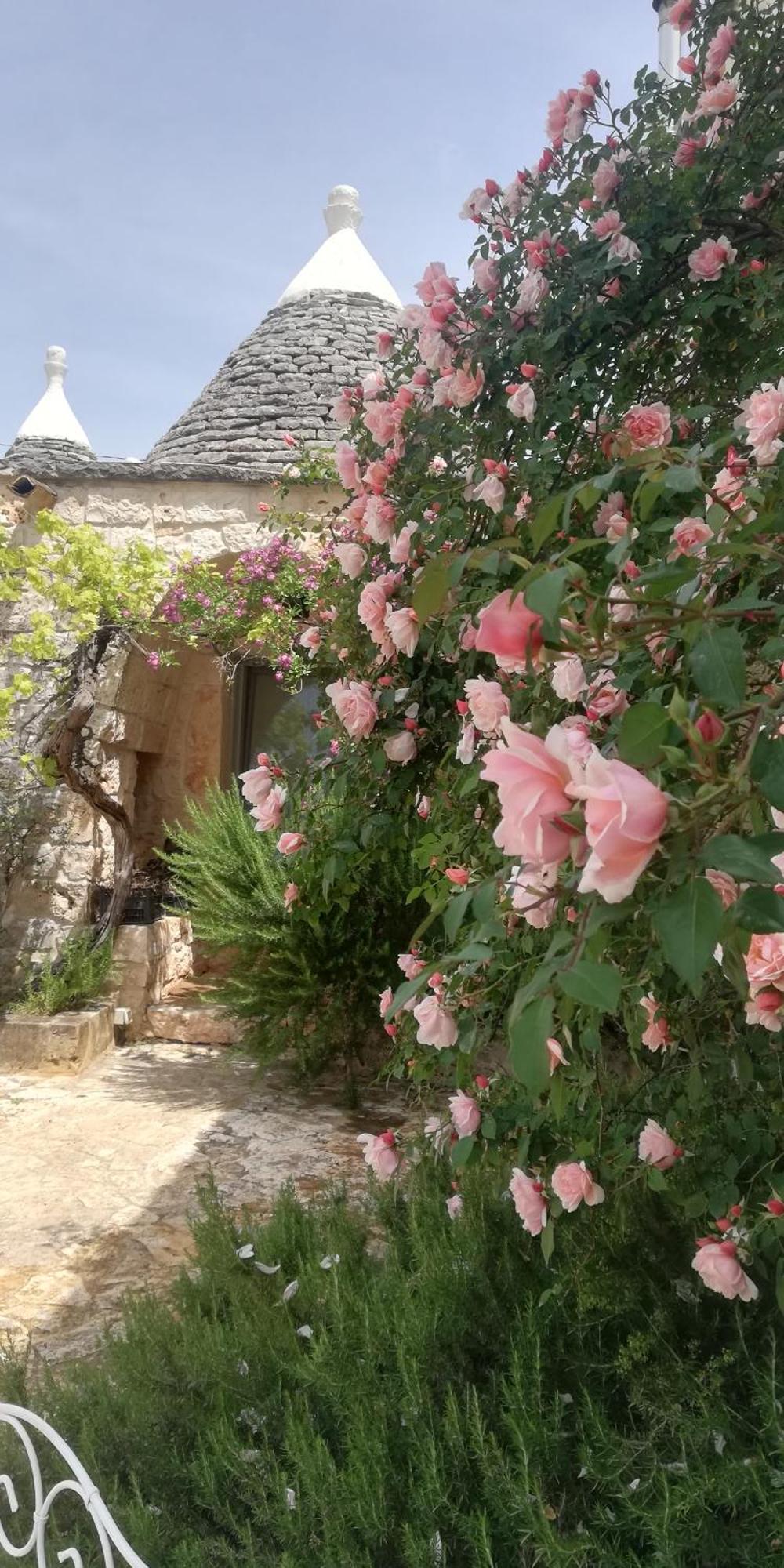 B&B Giovannarolla Green House Ostuni Ngoại thất bức ảnh