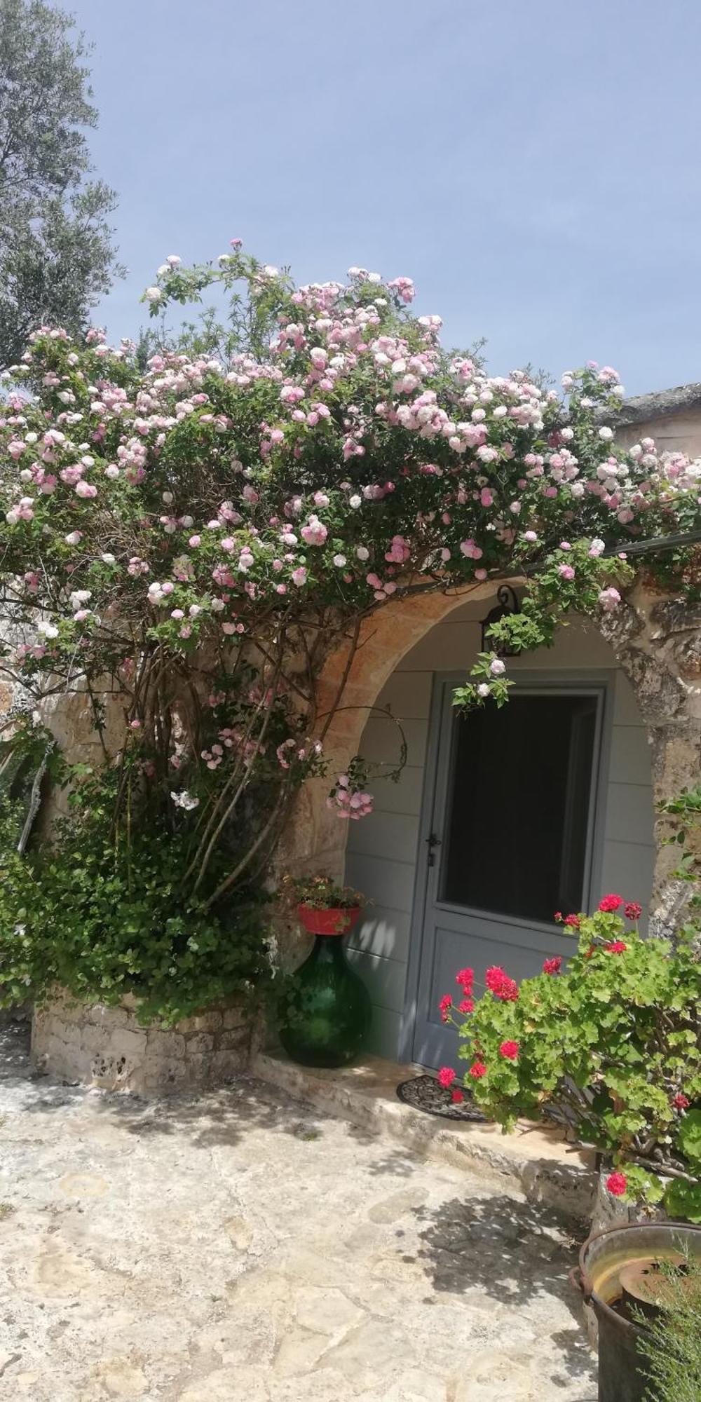 B&B Giovannarolla Green House Ostuni Ngoại thất bức ảnh