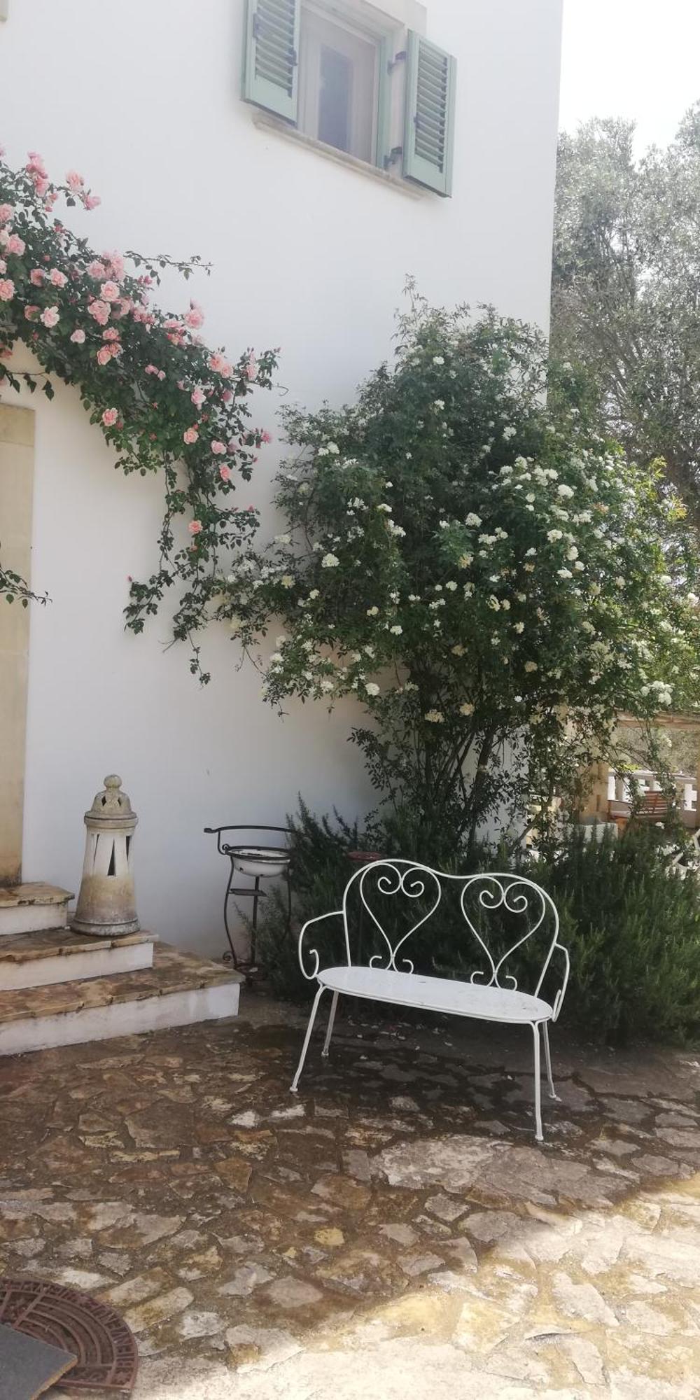B&B Giovannarolla Green House Ostuni Ngoại thất bức ảnh