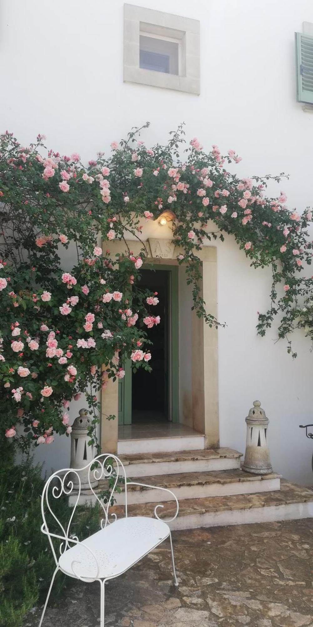 B&B Giovannarolla Green House Ostuni Ngoại thất bức ảnh