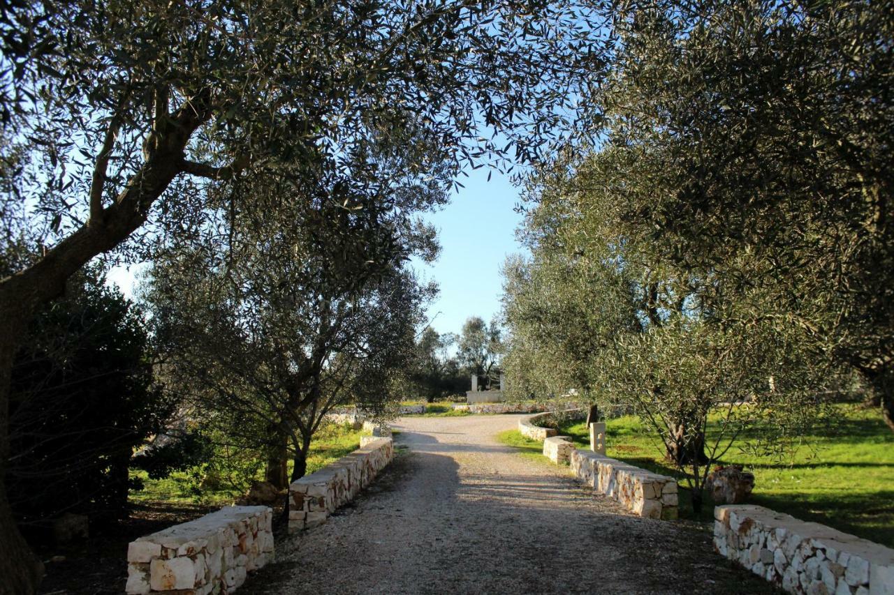 B&B Giovannarolla Green House Ostuni Ngoại thất bức ảnh